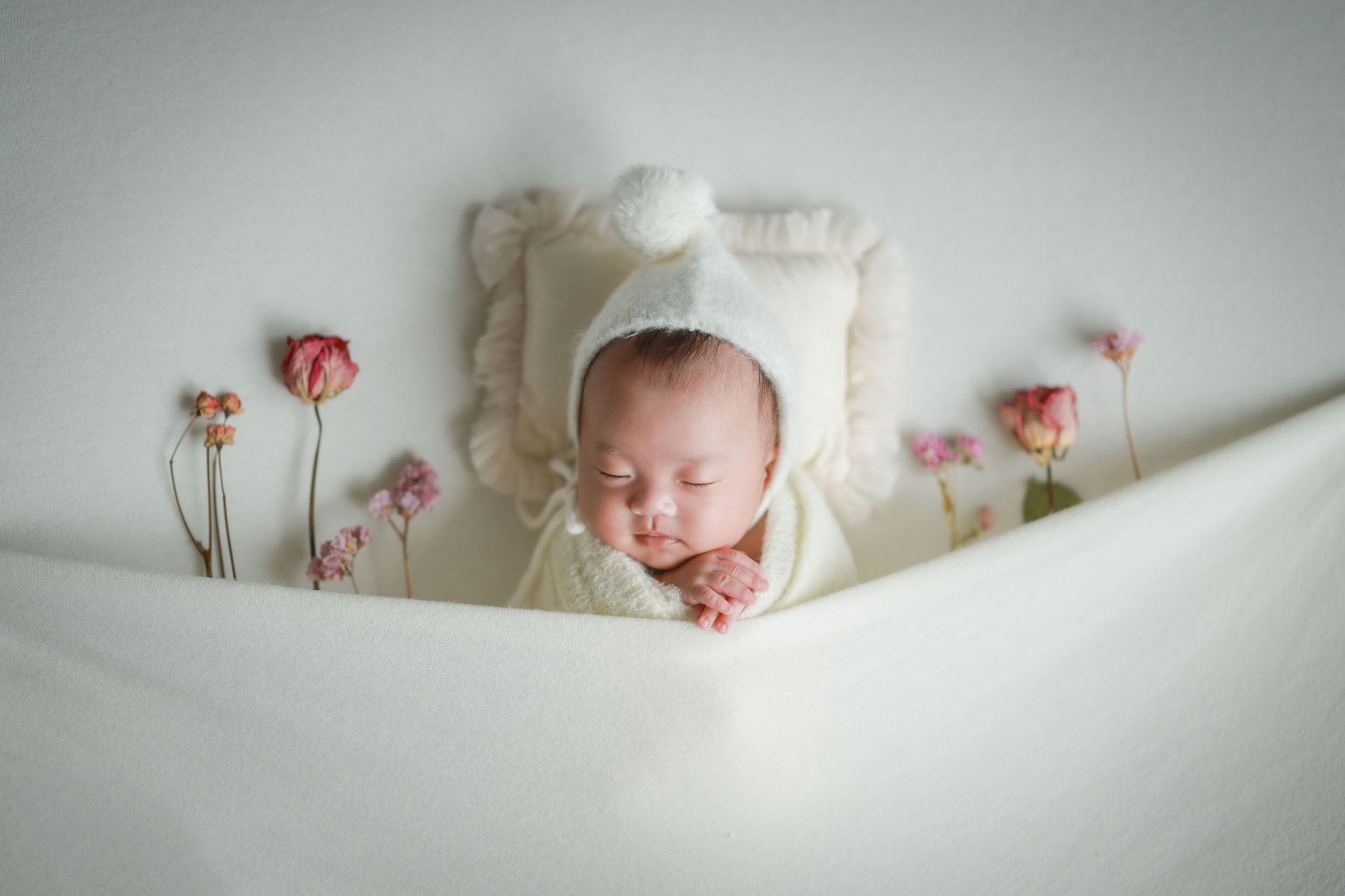 全データ＋ムービープラン